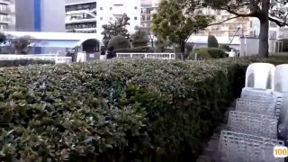日本性感美女视频高清⭕❌❌69vids姑娘